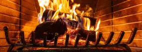 Fireplace Damper Services Meadowglen, Georgetown
