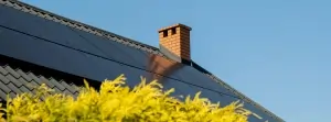 Chimney Sweep Georgetown